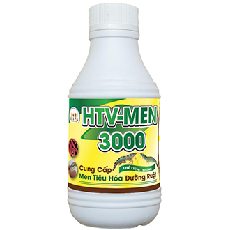 HTV - MEN 3000